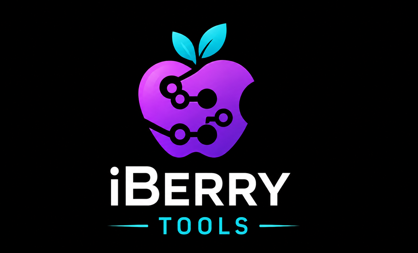 iBerry - iPhone XR Passcode Bypass Full Signal iOS17-27