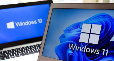 Microsoft Windows 10 / 11 Professional Genuine License Key – License 1 PC Life Time